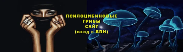 мяу мяу мука Белокуриха