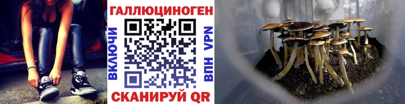 Псилоцибиновые грибы Cubensis  что такое наркотик  Кузнецк 